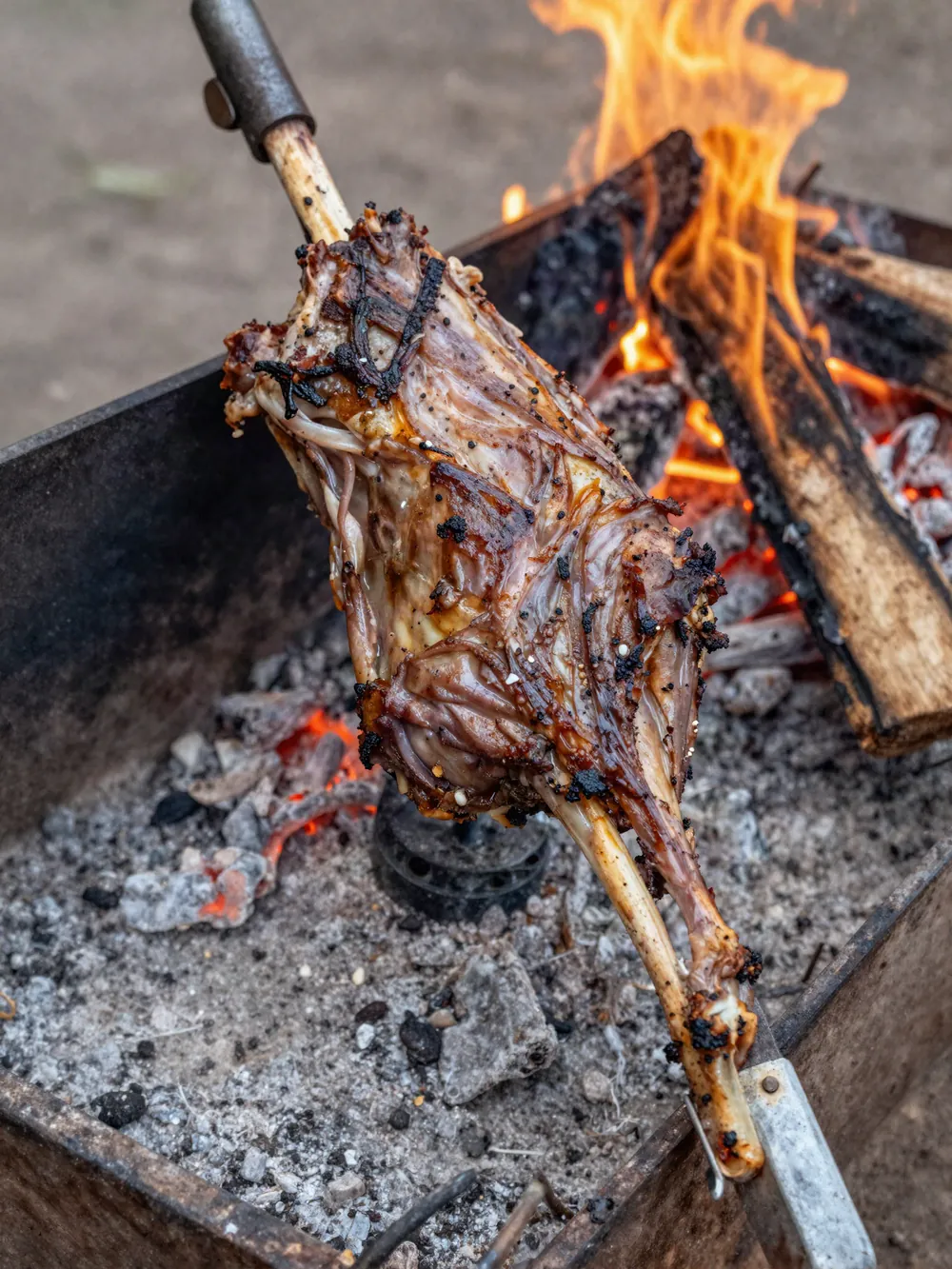 Cordero al asador y asado